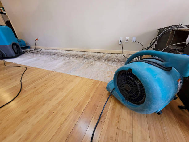 Professional Water Damage Repair technician working in Gibson, TN